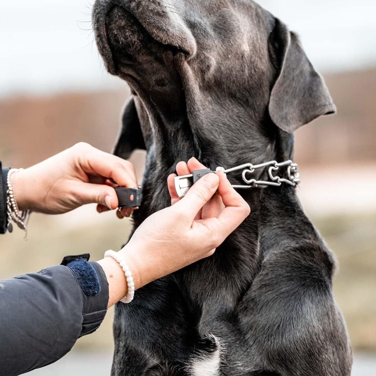 Cliclock Fastener Stainless Steel Buckle for Prong Dog Training Collar & Quick Release with Easy Buckle for Small Medium Large Dogs (2.25Mm)