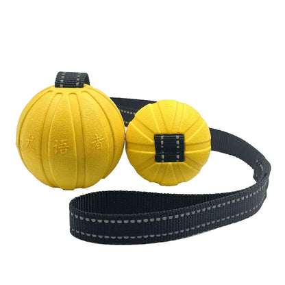 Dog Toy Balls on a Rope for Small Medium Large Dogs Chewers, Durable Interactive Ball for Training Dogs, EVA Foam Ball Floats