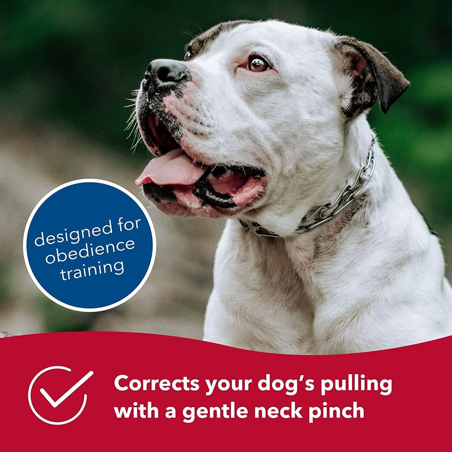 Ultra-Plus Prong Dog Training Collar, 2.25 Mm X 13" Neck Size, 2.25 Mm, Steel Chrome Plated Dog Prong Collar, Pinch Collar for Dogs, Dog Correction Collar