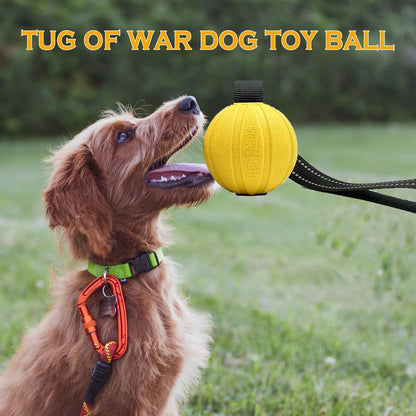 Dog Toy Balls on a Rope for Small Medium Large Dogs Chewers, Durable Interactive Ball for Training Dogs, EVA Foam Ball Floats