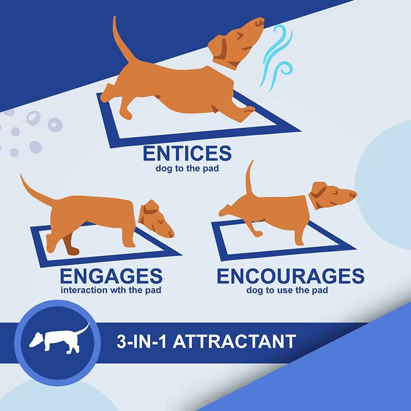 NEW Absorbent Dogs Diapers Disposable Puppy 20/40/50/100PCS Training Pee Pads Quick Dry Surface Mat Clean Cushion Dog Supplies